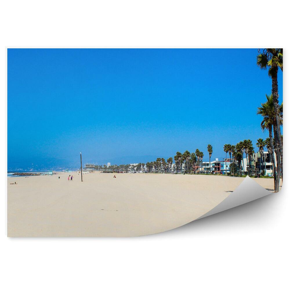 Fototapeta na zeď Pláž písek voda léto palmy