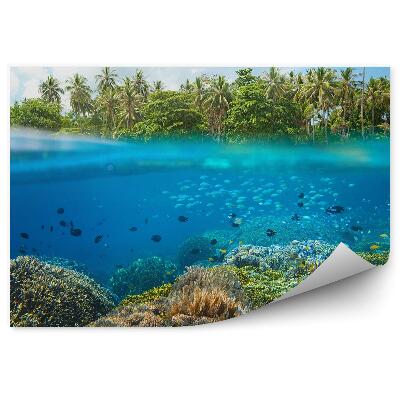 Fototapeta Ryby korálový útes tropy palmy vodní linie