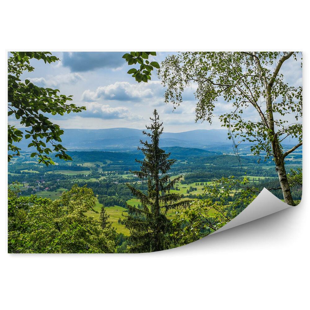 Fototapeta na zeď Pohled z lesa na horské polnosti vesnice