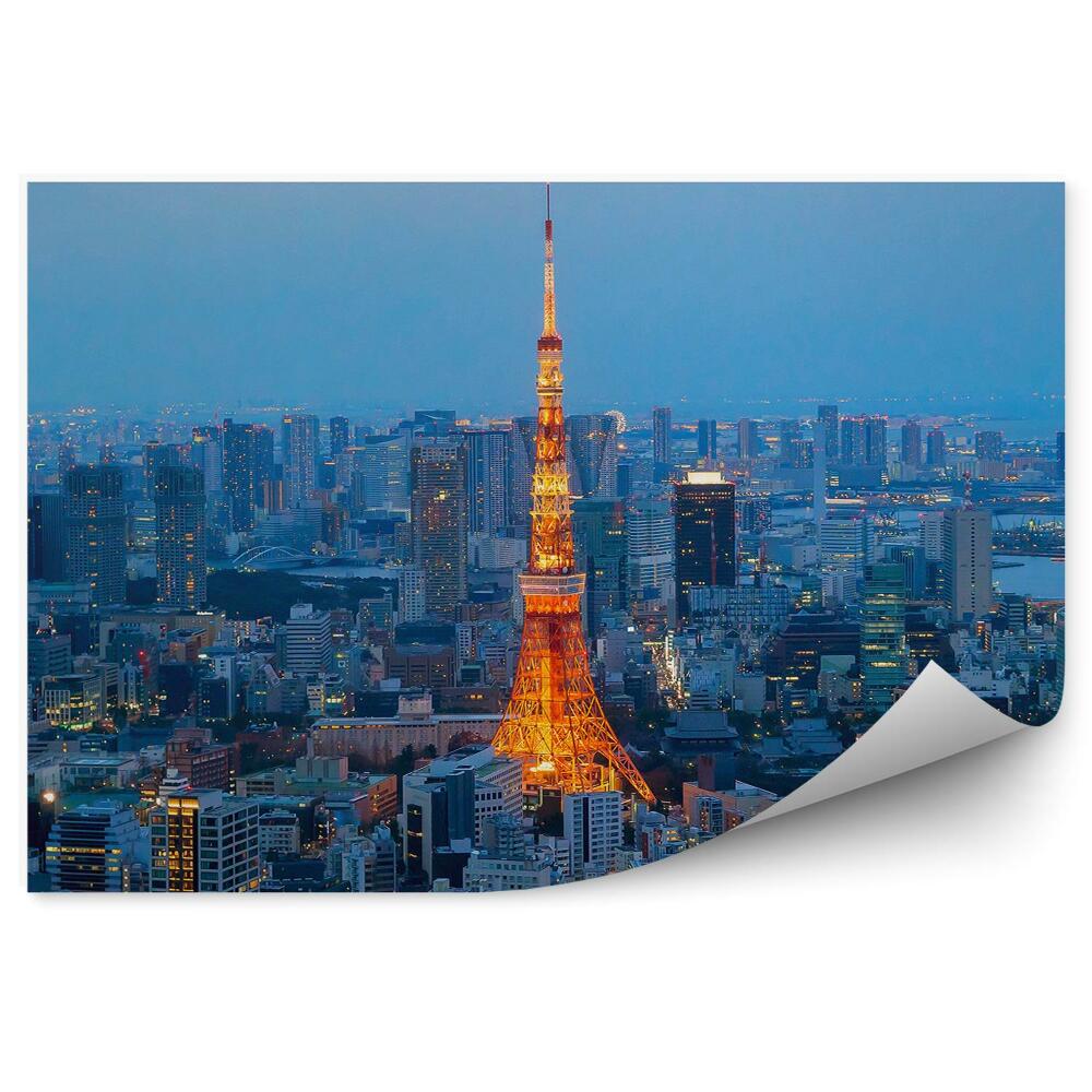 Fototapeta na zeď Tokijská věž symbol hlavního města Japonska noc