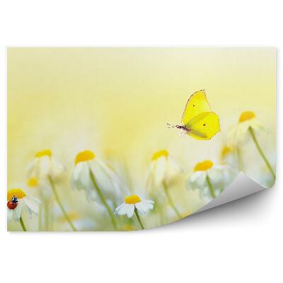 Samolepící fototapeta Květiny slunečná louka v létě motýl beruška