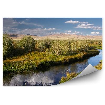 Fototapeta Řeka potok pouštní písek tráva na břehu