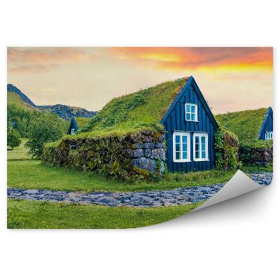 Fototapeta Malé vesnické domy pokryté zelení