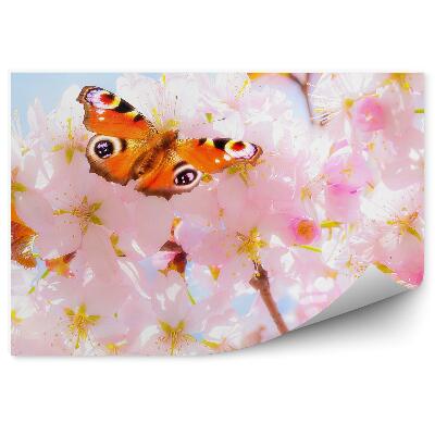 Samolepící fototapeta Třešňové květy strom motýl modrá obloha
