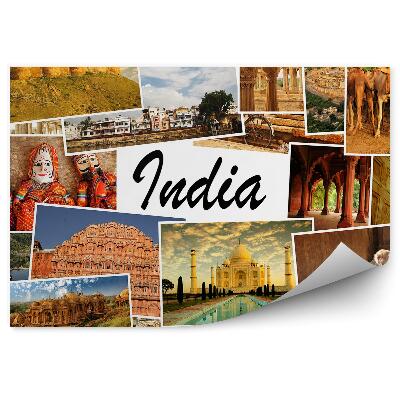 Fototapeta na zeď Koláž obrázky Indie chrám opice