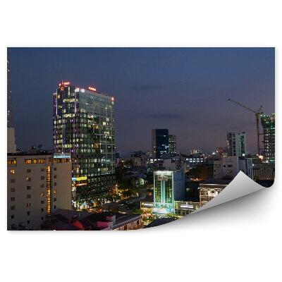 Fototapeta Třešňový květ strom břečťan lucerny zeď řeka Japonsko Tokio