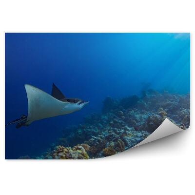 Samolepící fototapeta Voda v oceánu mraky oblohy