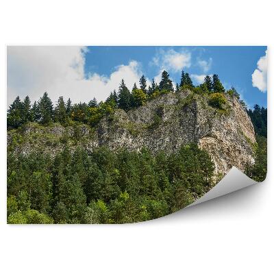 Samolepící fototapeta Sokolica Pieniny vrchol hory zatažená obloha