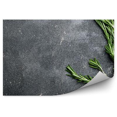 Fototapeta Rozmarýn na tmavém betonovém podkladu
