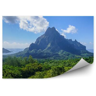 Fototapeta Letecký pohled na lagunu Bay Hill