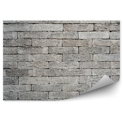 Samolepící fototapeta Šedé cihlové zdivo