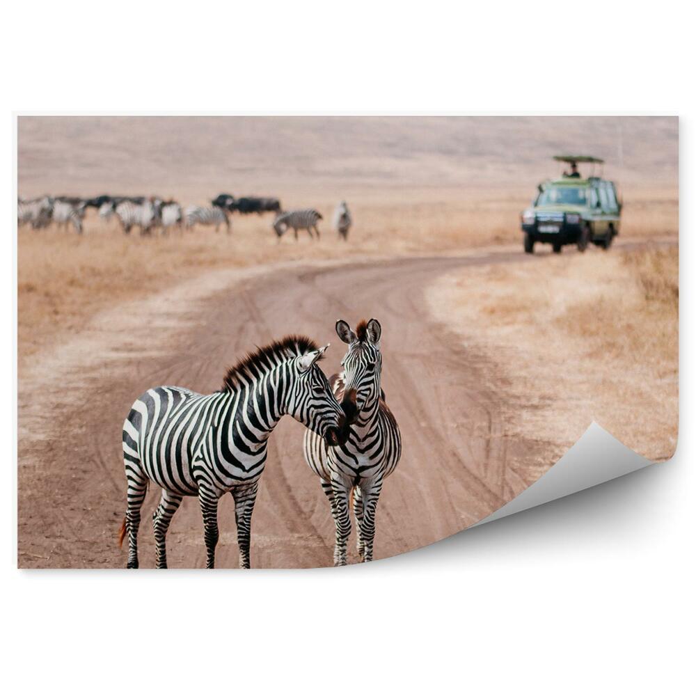 Samolepící fototapeta Safari antilopy pakoně cesta vozidlo příroda cestování