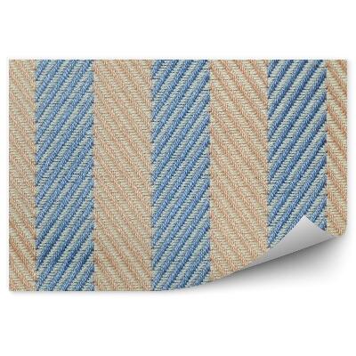 Fototapeta na zeď Abstraktní vzor látky svislé diagonální pruhy