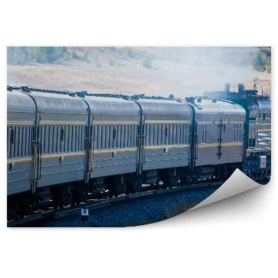 Fototapeta Nákladní vlak železniční trať příroda