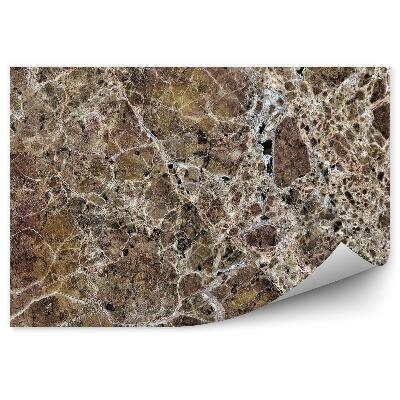 Fototapeta na zeď Hnědý mramor