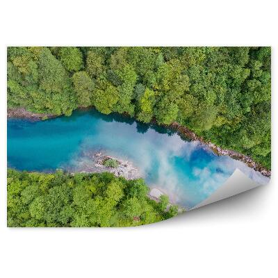 Fototapeta Řeka modrý vánoční stromek les