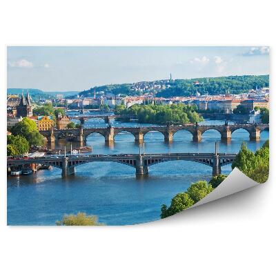 Samolepící fototapeta Česká republika architektura rostliny