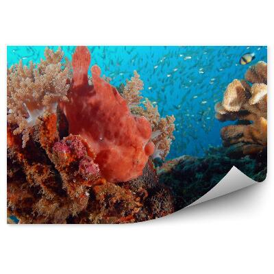 Fototapeta na zeď Žáby mezi korály