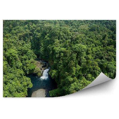 Fototapeta na zeď Les řeka příroda příroda