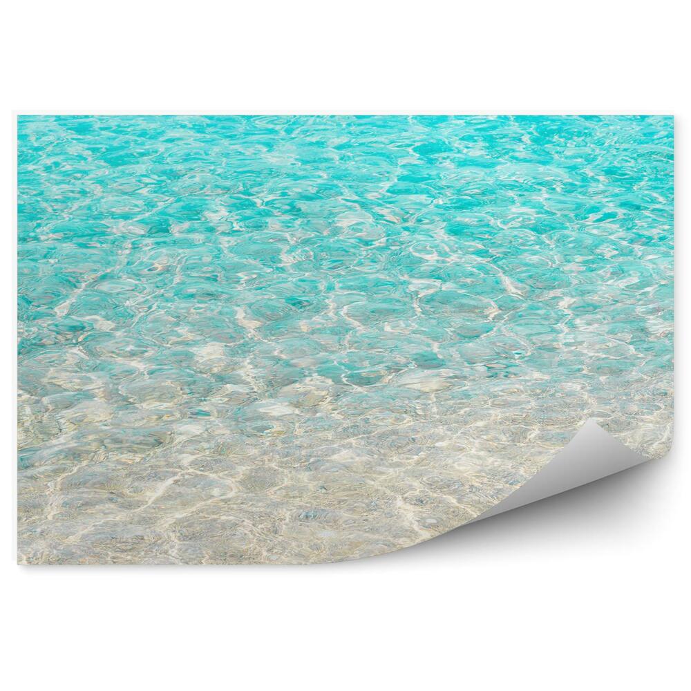 Fototapeta Plážové duny nebe oceán rostliny Severní Karolína