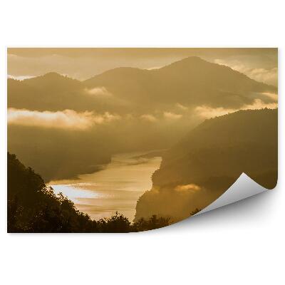 Samolepící fototapeta Sépiová barva jehličnaté stromy hory mlha