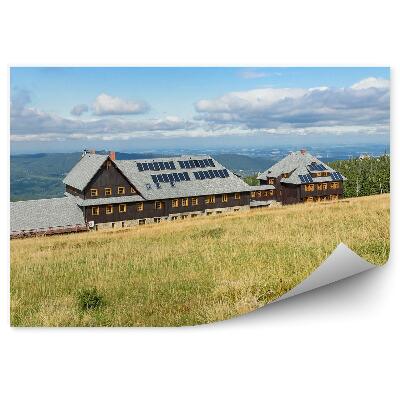 Fototapeta na zeď Polana horská cesta krkonošské lesy