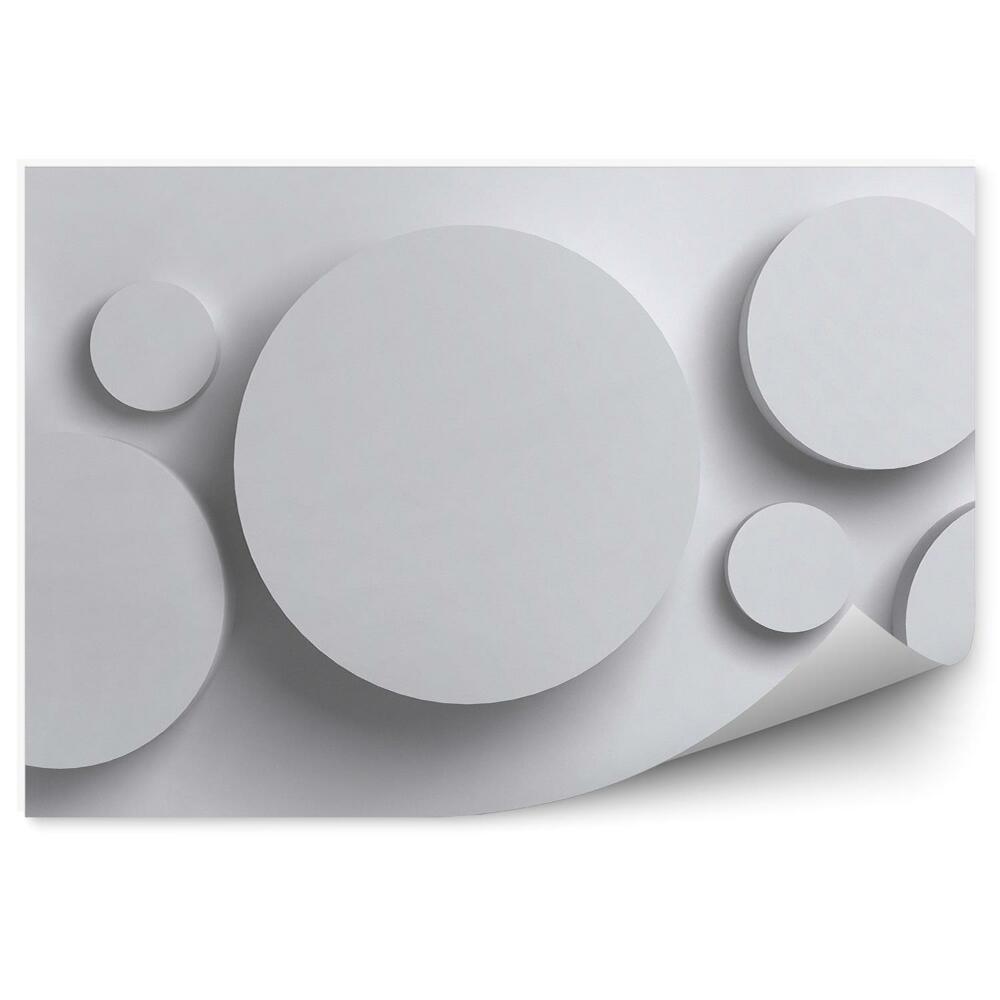 Fototapeta na zeď Vzorová kolečka