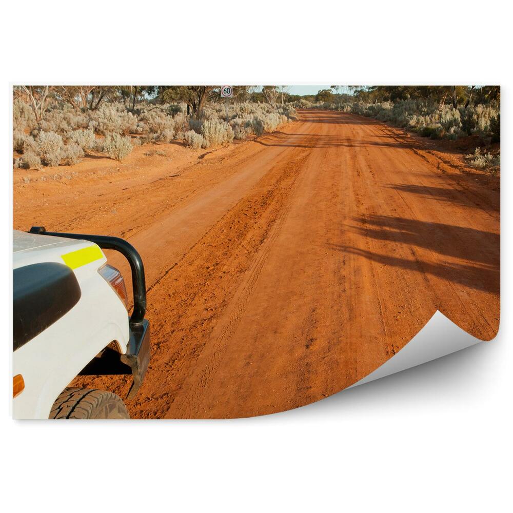 Fototapeta Silnice písek příroda vegetace safari