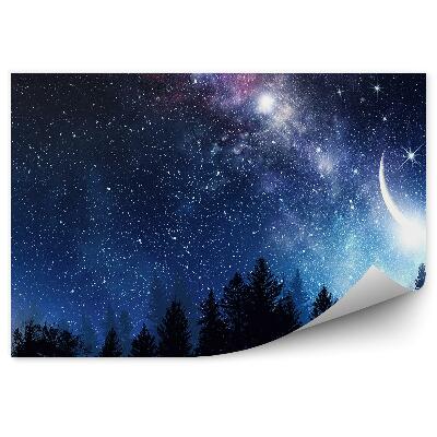 Fototapeta Hvězdné nebe pozadí vesmír obraz