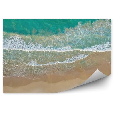 Fototapeta Tropické palmy pláž oceán obloha mraky lehátka mušle