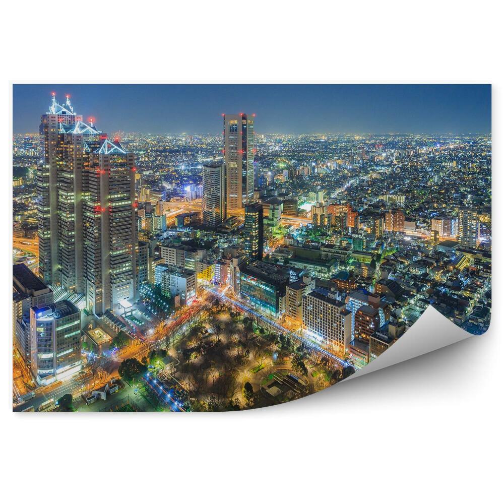 Fototapeta na zeď Budovy mrakodrapů noc Tokio Japonsko