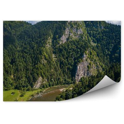 Fototapeta na zeď Pohled na Dunajec z ptačí perspektivy Pieniny