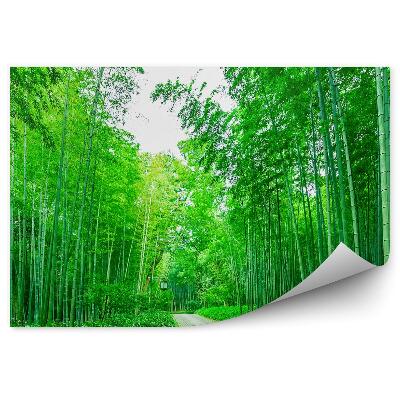 Samolepící fototapeta Cesta v lucernovém bambusovém lese
