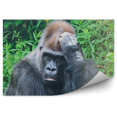 Fototapeta na zeď Introvertní gorila na pozadí tropické vegetace