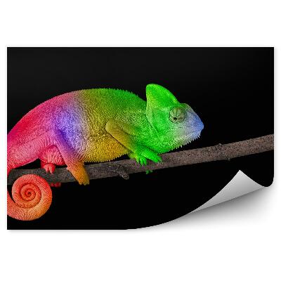 Samolepící fototapeta Jasně zbarvený chameleon