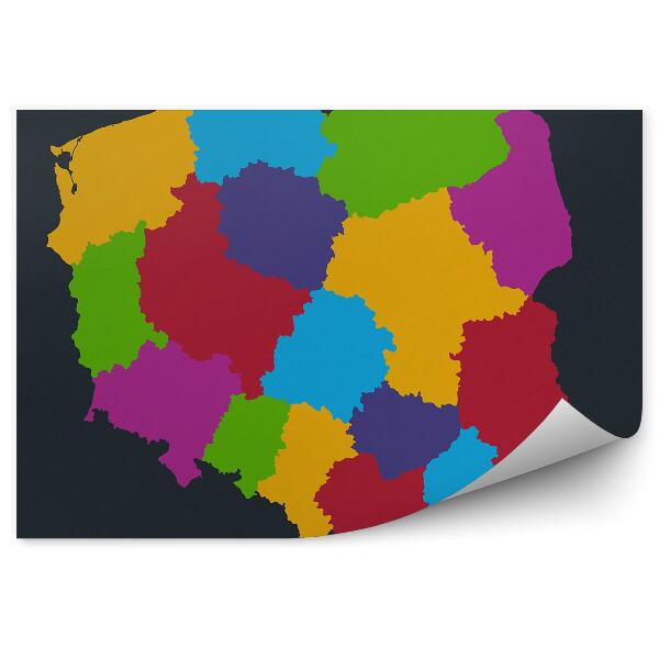 Fototapeta Barevná mapa Polska vojvodství