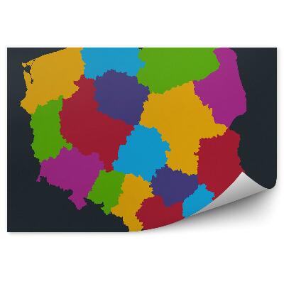 Fototapeta Barevná mapa Polska vojvodství