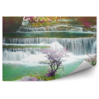 Fototapeta Kameny vodopád rostlin barvy