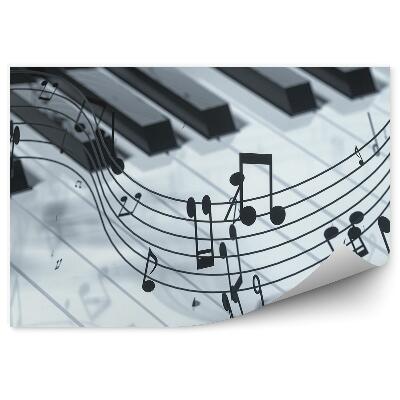 Fototapeta na zeď Noty houslový klíč štábní klavír klávesy