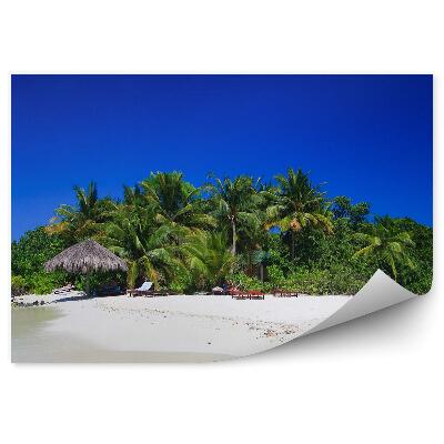 Fototapeta na zeď Tropický ostrov exotické palmy