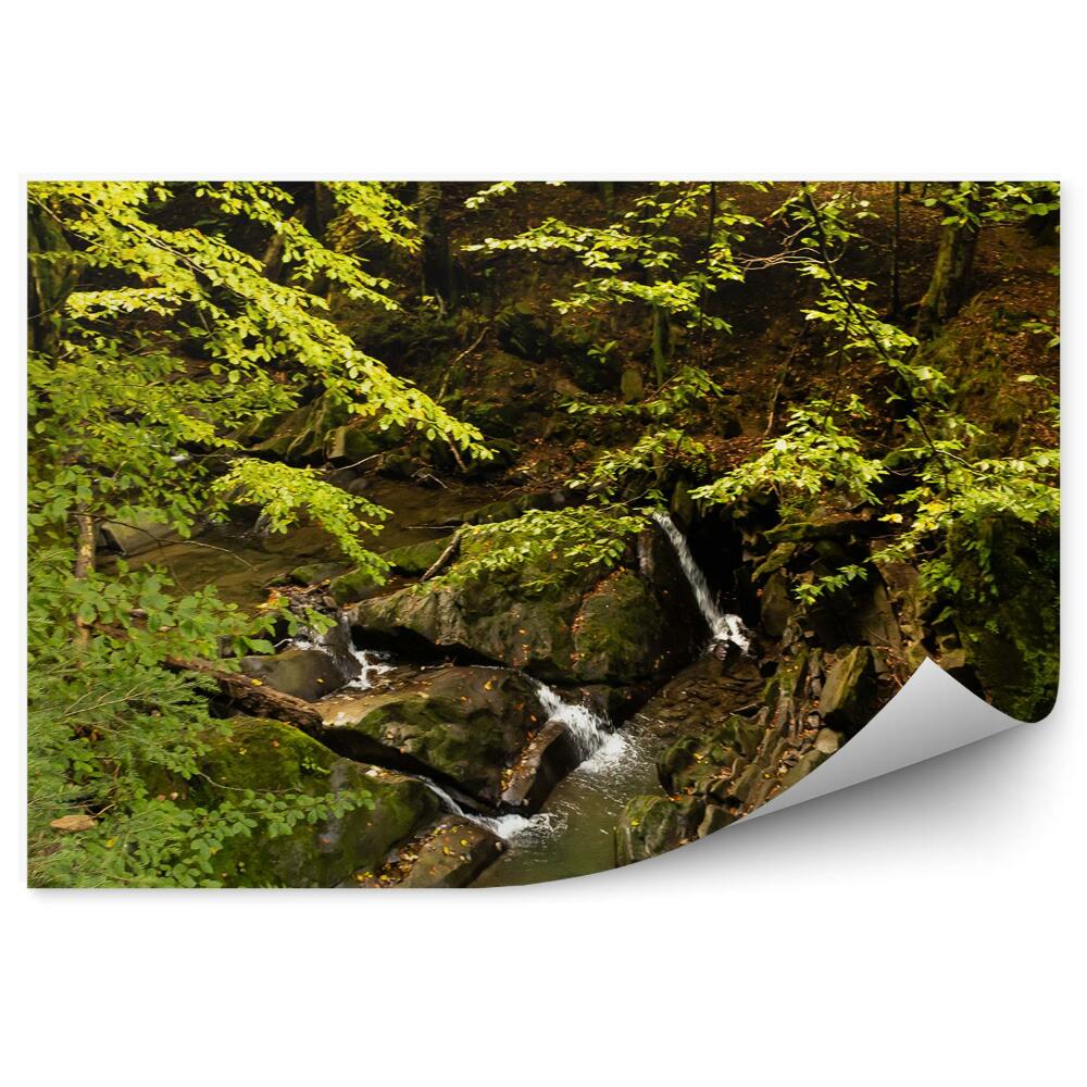 Fototapeta Lesní potok Bieszczady hory