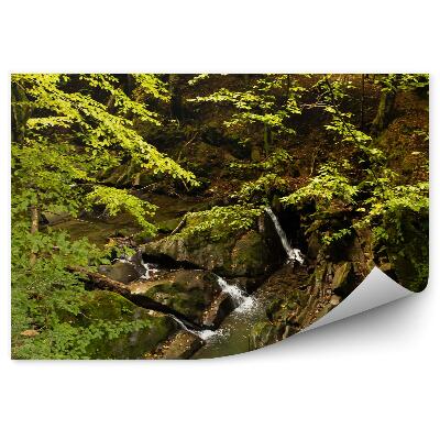 Fototapeta Lesní potok Bieszczady hory