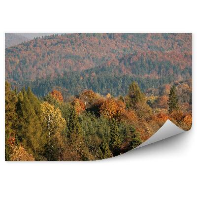 Samolepící fototapeta Podzimní lesy stromy pohled z ptačí perspektivy