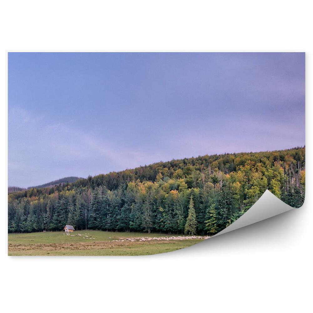 Fototapeta na zeď Panorama města Tatry jehličnaté stromy tráva chaty obloha mraky