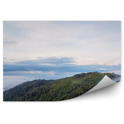 Samolepící fototapeta Lesní stromy kopec mlha mraky