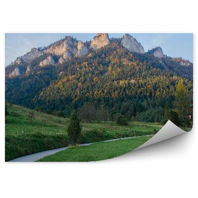 Fototapeta Trasa v Pieninách Tři koruny