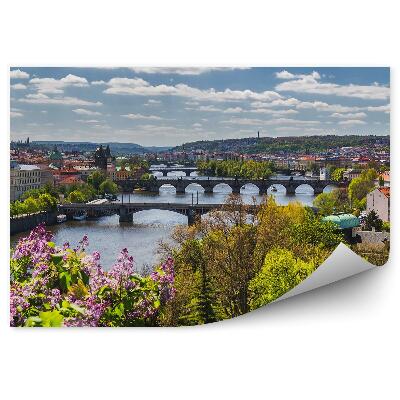 Fototapeta Panorama města z ptačí perspektivy květiny keře