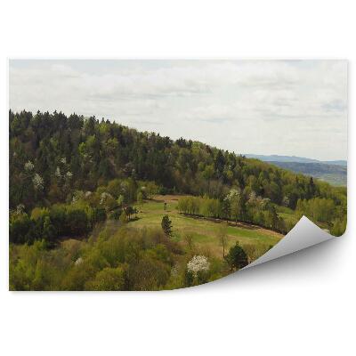Fototapeta Lesní stromy kopec polní krajina Bieszczady