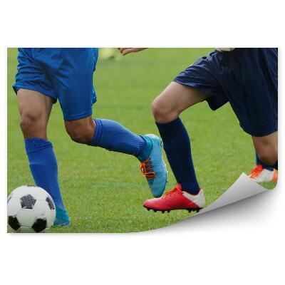 Samolepící fototapeta Fotbalový trávník míč