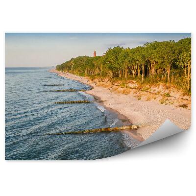 Samolepící fototapeta Písek lesní stromy horizont moře